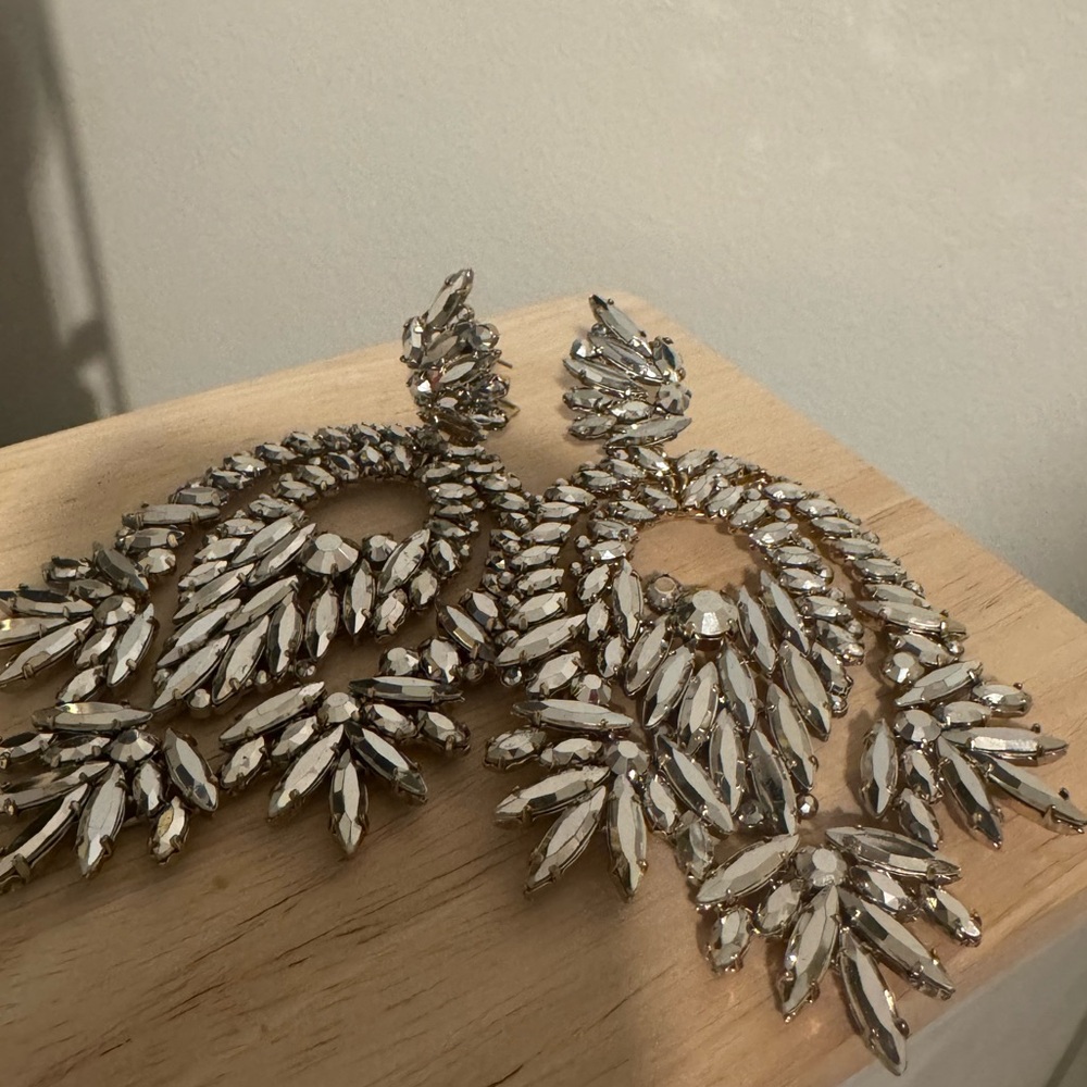 BCBG Paris Silver Statement Earrings